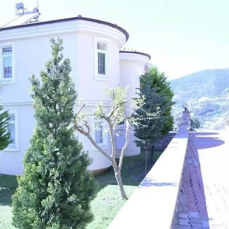 Deniz 3*